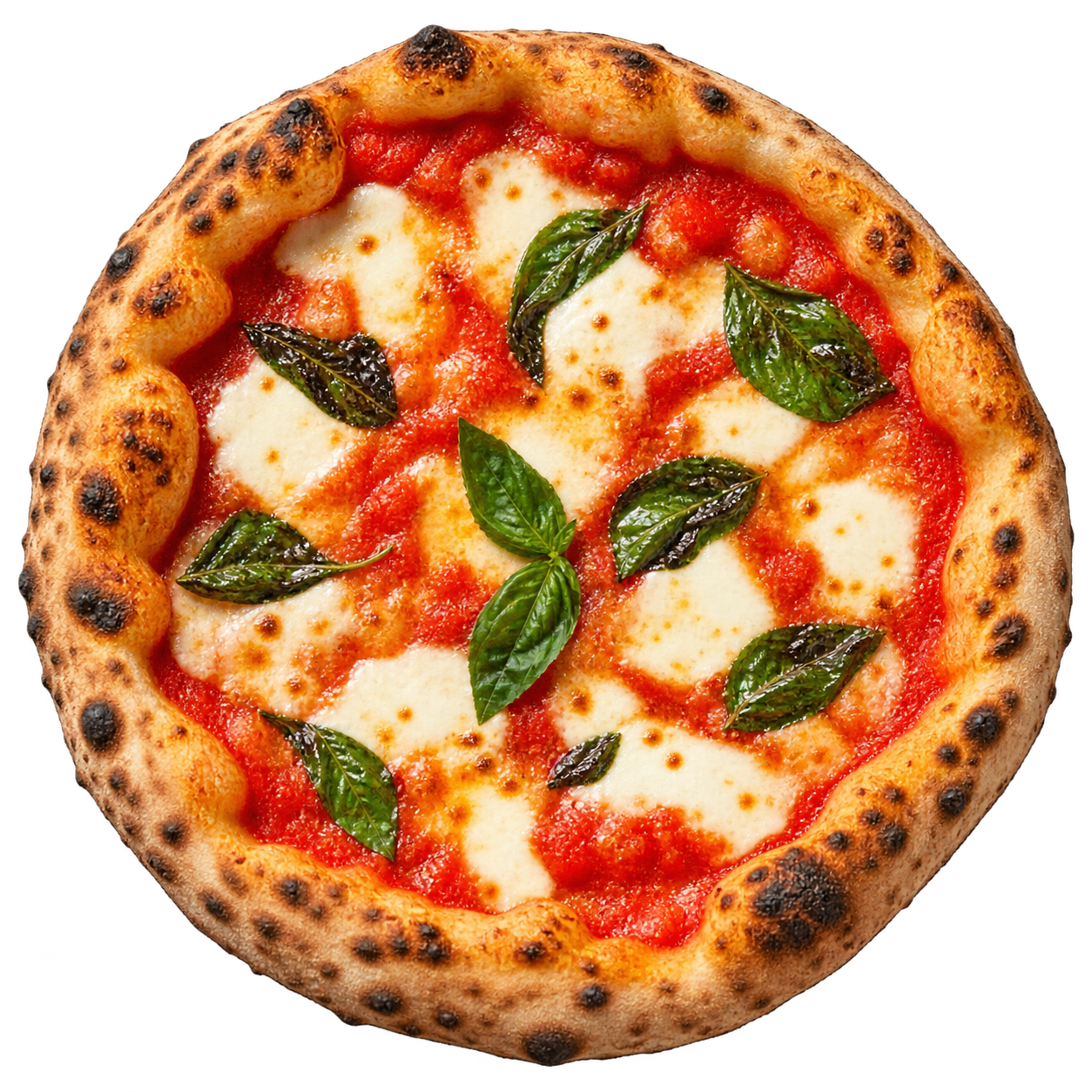 Pizza Margherita